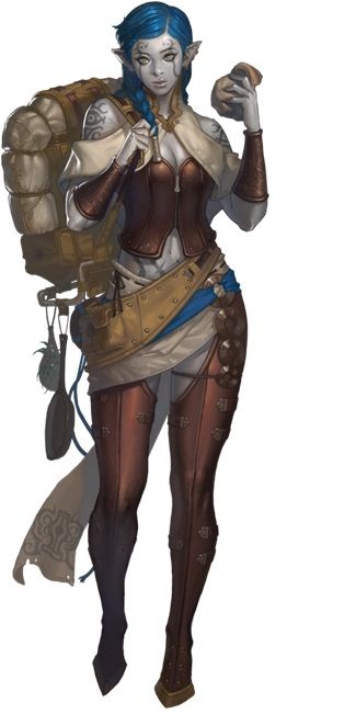 merchant traveler Fantasy Races, Pelvic Pain, Dnd Art, Coron, Fantasy Warrior, Arte Fantasy, Fantasy Rpg, Fantasy Inspiration, Female Character Design