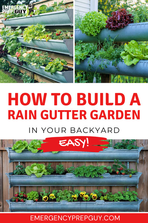 Vertical rain gutter garden filled with various vegetables and herbs, illustrating an easy DIY method to create a rain gutter garden for backyard growing. Gutter Garden Ideas, Prepper Garden, Rain Gutter Garden, Diy Gutters, Gutter Garden, Off Grid Homestead, Bucket Gardening, Vertical Garden Diy, Homesteading Skills