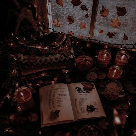 Basic Aesthetics, Drawing Generator, Castle Library, Aesthetic October, Autumn Witch, Halloween Wallpaper Backgrounds, Halloween Photography, Halloween 4, Autumn Magic