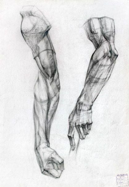 Arm Anatomy, Academic Drawing, Drawing Hands, Human Anatomy Drawing, Body Sketches, Human Figure Drawing, Human Anatomy Art, Anatomy Sketches, Anatomy Poses