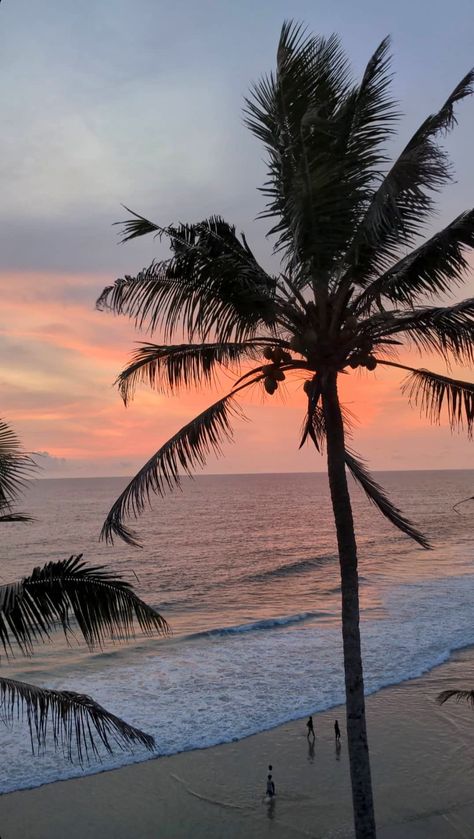 Indian beach aesthetic palm trees sunset ocean photography Varkala Beach Photography, Varkala Beach, Creative Beach Pictures, Travel 2024, Bf Picture, Beach Hotel & Resort, Goa India, Instagram Snap, Visual Board