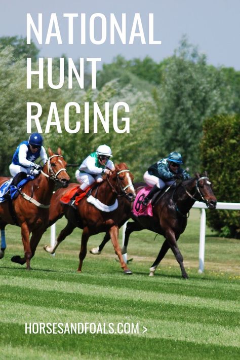 Most people are familiar with the most common type of racing, in which horses run around a track as fast as they can and try to beat their opponents. But there is another type of racing that adds a different level of challenge with obstacles in their path: National Hunt Racing. This requires horses to jump over various heights of fences and hedges, and there are many different types of these races. If you want to find out more fascinating facts about National Hunt Racing, then read on. National Hunt Racing, Irish Horse, Obstacle Race, Cheltenham Festival, Races Style, Different Races, Horse Names, Fascinating Facts, Grand National