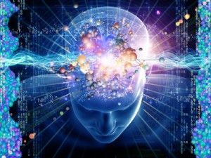 Where in the brain does God reside? Does spiritual experience originate in the mind? Such questions are nearly unanswerable, but scientists are beginning to paint a clearer picture of what happens inside our brains during moments of spiritual insight. The Brain, Coming Out, Brain