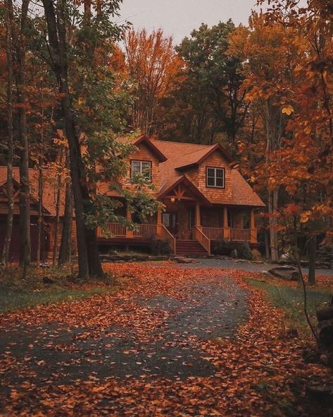 Log Cabins and Log Homes Plants In Window, Log Cabin House, Log Home Living, Exterior Window, Cabin House, Log Cabin Homes, Log Home, Windows Exterior, Log Cabins