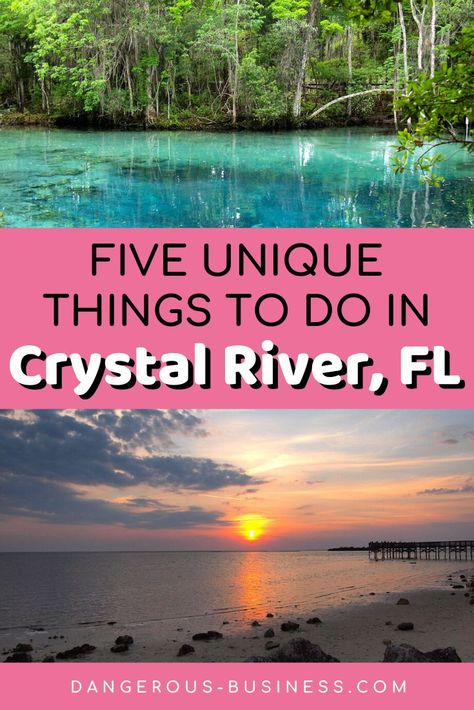 Learn about 5 of the best things to do in Crystal River, Florida, including seeing natural springs and swimming with manatees. #Florida #traveltips Swimming With Manatees, Crystal River Florida, Florida Travel Guide, Florida Adventures, Usa Roadtrip, All Pins, Florida Springs, Places In Florida, Crystal River