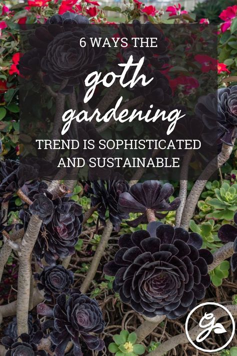 It's time to rethink your assumptions about goth gardens. This deliciously dark theme offers a wealth of design inspiration that all gardeners can learn from. Goth Garden Design, Goth Landscaping, Gothic Garden Ideas Backyards, Gothic Landscaping, Goth Garden Aesthetic, Goth Garden Ideas, Gothic Garden Ideas, Gothic Gardens, Indoor Forest