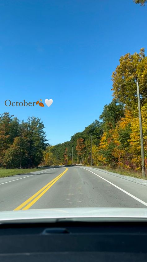 Spooky Instagram Story, October Story Instagram, Fall Insta Story Ideas, Fall Insta Story, Fall Instagram Stories, Leaves Aesthetic, Colourful Leaves, Feed Layout, Nature Photography Quotes