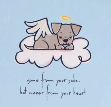 Missing My Dog Pet Loss, Rip Dog Quotes, All Dogs Go To Heaven Tattoo, Dog Memorial Drawing, Do Dogs Go To Heaven, Dog In Heaven Drawing, Dog Angel Quotes, Run Free In Heaven Dog Quotes, Rip Dog