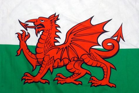 Flag Of Wales, Welsh Words, The Red Dragon, Wales Flag, Welsh Flag, Saint David, National Flags, Flag Store, Welsh Dragon