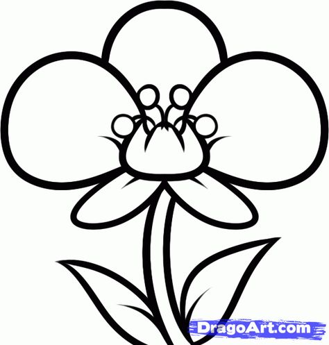 how to draw an orchid for kids step 5