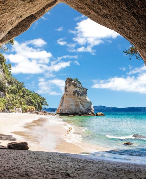 Stunning Cathedral Cove in New Zealand, a natural wonder of pristine beaches and turquoise waters. ⛰️ How would you enjoy exploring the beauty of Cathedral Cove? #naturephotography #beachlife #travel #scenicviews Cathedral Cove New Zealand, Cathedral Cove, Turquoise Water, Scenic Views, Natural Wonders, Beach Life, The Beauty, Mood Board, New Zealand