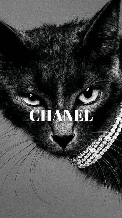 Coco Chanel | 💛💛❤️❤️❤️ | Facebook Coco Chanel Wallpaper, Chanel Wallpaper, Coco Chanel, Black Cat, Coco, Chanel, Black, Art