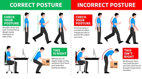 Take these Small Steps to Improve your Posture in the Office Tense Shoulders, Sit Up Straight, Pelvic Tilt, Improve Your Posture, Light Exercise, Proper Posture, Bad Posture, Sitting Posture, Small Steps