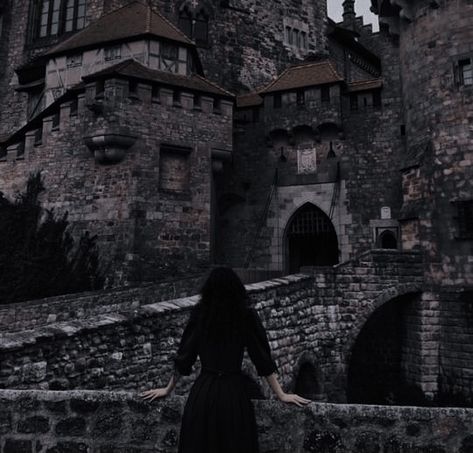 Gothic Castle Aesthetic, The Secret Of Moonacre, Lemon Drop Shots, The Remnant Chronicles, Goth Academia, Villain Aesthetic, Dark Castle, Gothic Castle, Tom Riddle