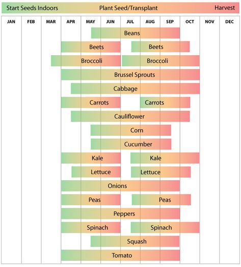 Vegetable Planting Calendar, Planting Schedule, Vegetable Planting Guide, Growing Calendar, Vegetable Planting, When To Plant Vegetables, Planting Calendar, Hardiness Zones, Plant Zones