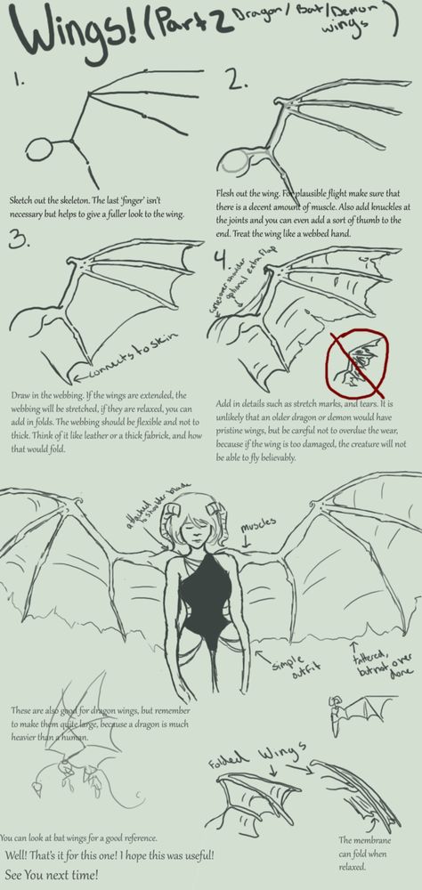 I do not claim to be an expert, or that this is the right way to draw wings. It is simply how I draw them. For body type/ wing placement please see part one. Wings On People, Wing Anatomy, Draw Wings, Drawing Dragon, Winged People, Wings Drawing, Dragon Sketch, Dragon Wings, Poses References