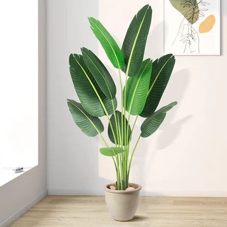 Primrue 60" Artificial Flowering Tree in Pot | Wayfair Bird Of Paradise Plant, Paradise Plant, Artificial Birds, Fake Trees, Fiddle Leaf Fig Tree, Artificial Plants Outdoor, Outdoor Office, Silk Plants, Artificial Trees