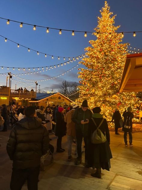 switzerland Geneva Switzerland Christmas, Christmas Market Switzerland, Swiss Christmas Aesthetic, Switzerland Christmas Markets, Switzerland In Christmas, Zurich Switzerland Christmas, Zurich Christmas Market, Geneva Switzerland Aesthetic Winter, Zurich In Winter