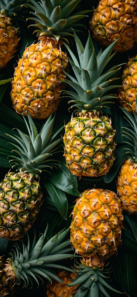 Pineapple Wallpaper, Fruit Pineapple, Samsung Mobile, Iphone Wallpapers, Phone Wallpaper, Pineapple, Iphone Wallpaper, Wallpapers, Fruit