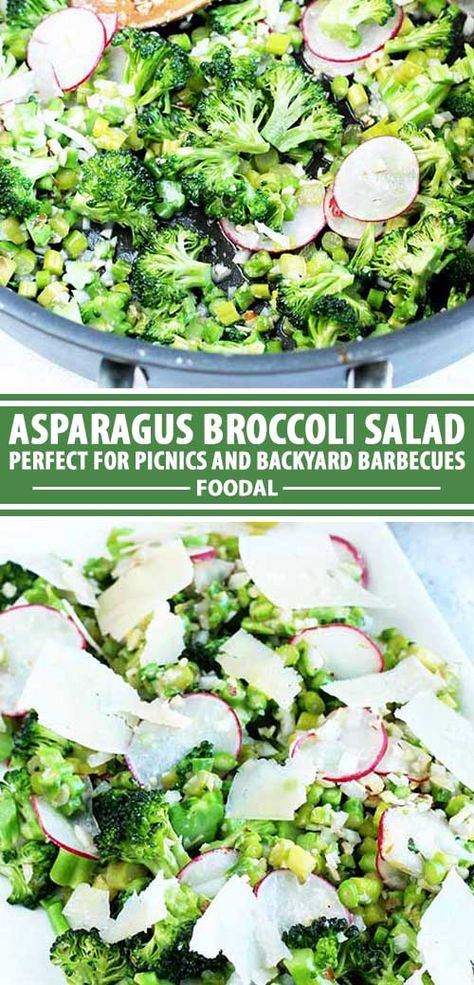 If you really want to wow your crowd this spring and summer, whip up this easy asparagus and broccoli salad. With a lemon, almond, and onion dressing, this lean, green saute is a light side dish that's perfect for any backyard barbecue or picnic. To find out why this recipe is a show-stopper, read more now on Foodal. #asparagus #broccoli  #sidedish #summerfood #cookouts #foodal Broccoli Asparagus Salad, Asparagus And Broccoli Recipes, Asparagus Salad Recipes, Asparagus And Broccoli, The Best Asparagus, Asparagus Broccoli, Easy Asparagus, Light Side Dishes, Grilled Asparagus Recipes