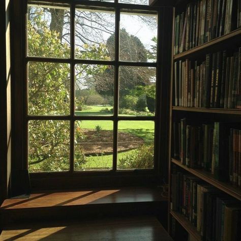 Window View, Through The Window, Jolie Photo, Paddles, Pride And Prejudice, Pretty Places, Green Aesthetic, Safe Place, House Inspo