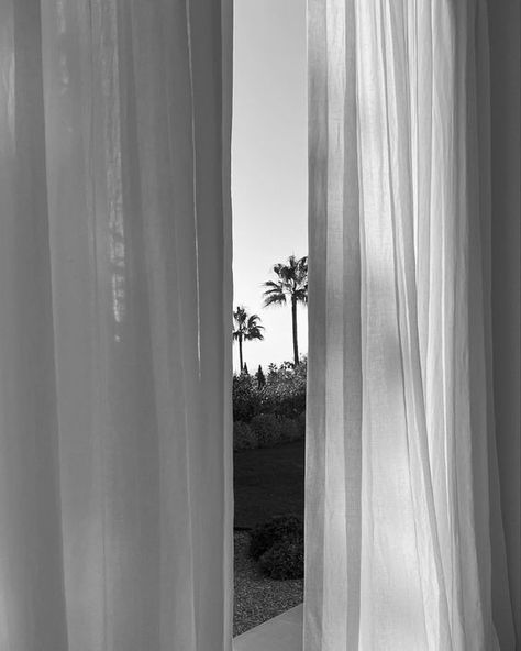 Marguerite Duras, Sea Wallpaper, Black And White Aesthetic, Black N White, White Aesthetic, Summer Aesthetic, Dark Aesthetic, Palm Trees, Aesthetic Pictures