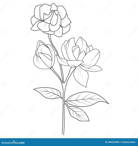 Easy jasmine flower, sketch jasmine flower drawing, tattoo jasmine flower drawing, outline jasmine flower tattoo, simple jasmine flower tattoo, minimalist jasmine flower tattoo, white jasmine flower drawing, realistic jasmine flower drawing, art jasmine flower drawing, line art simple jasmine flower drawing Jasmine Flower Drawing Tattoo, Jasmine Flower Sketch, Flower Drawing Realistic, Flower Drawing Outline, Flower Drawing Line Art, Jasmine Flower Drawing, Pencil Typography, White Jasmine Flower, Line Art Simple