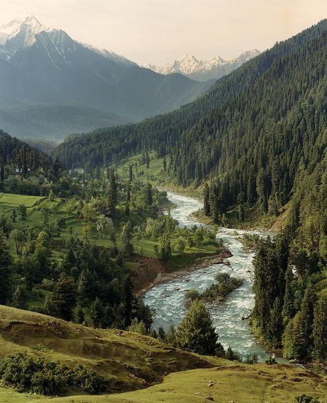 Beauty Of Kashmir, Mountain Landscape Photography, Forest Mountain, Scenic Beauty, Nature Aesthetic, Pretty Places, Mountain Landscape, Beautiful World, Beautiful Landscapes