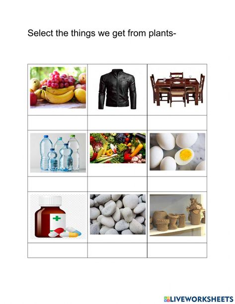 Plants Worksheets, Vertebrates And Invertebrates, Worksheet For Kindergarten, Plant Activities, Force And Motion, Parts Of A Plant, School Subjects, All About Plants, Kindergarten Worksheets