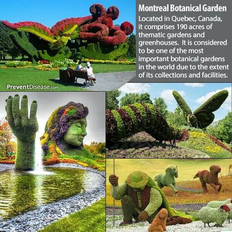 Yard Art! Effective Quotes, Adventure List, Montreal Botanical Garden, Montreal Travel, Girls Trips, Big Brain, Vacation Locations, Travel Canada, Senior Trip