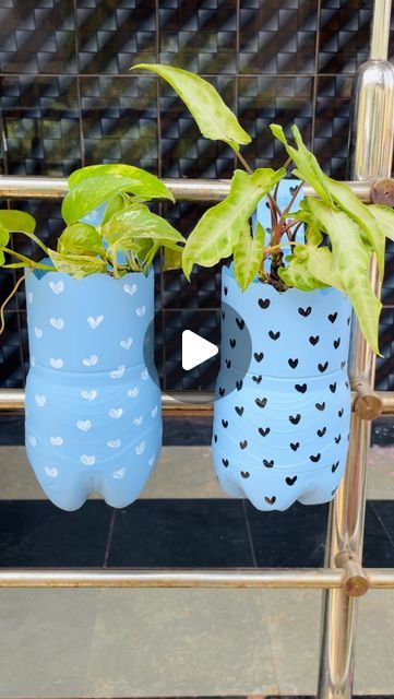 Sanobar Mulla on Instagram: "“Upcycled elegance: A beautiful hanging planter made from a plastic bottle, giving new life to both plants and plastic!”♻️ “Transform waste into wonder with this beautiful hanging planter made from a recycled plastic bottle. A perfect blend of creativity and sustainability, this DIY project not only adds a touch of green to your space but also helps reduce plastic waste. Ideal for small plants or herbs, it brings a natural, eco-friendly charm to any indoor or outdoor setting.”🌸✨♻️ #viralreels #instareels #plantsmakepeoplehappy #plantlover #plantsplantsplants #dıy #plantlife #plantslover #insta #diyplanter #bottlepainting #bottleplanter #plasticbottle #plasticbottlecrafts  . . (Bottle planter,plastic bottle planter ideas,hanging planter from bottle,diy from bot Upcycle Plastic Bottles Creative Ideas, Diy From Bottle, Plastic Bottle Plants Ideas, Plastic Bottle Planters Diy Hanging, Bottle Planter Ideas, Bottle Craft Ideas, Plastic Bottle Planter, Upcycle Plastic, Plants In Bottles