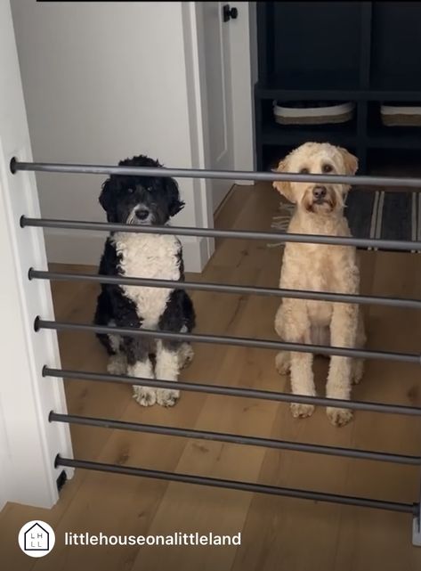 Sliding Indoor Dog Gate, Built In Gate For Pets, Dog Kennels In Closet, Modern Dog Gate, Hidden Stair Gate, Pocket Door Pet Gate, Hidden Dog Gates, Hidden Dog Gate Pocket Doors, Hidden Pet Gate