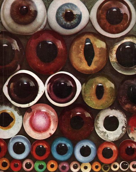 Eyes. Glass Eyes, Eye Art, Taxidermy, Cover Design, Surrealism, Art Inspo, Banners, Mood Board, Cool Art