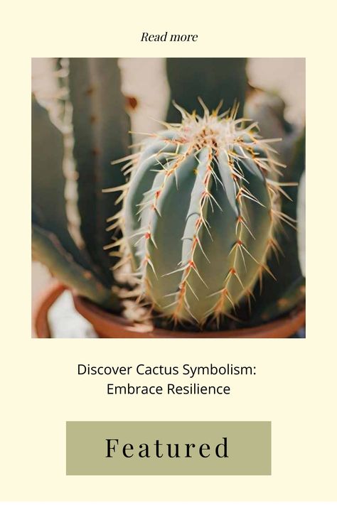 Close-up of a spiky cactus emphasized for an article on cactus symbolism with a call to action to read more. Cactus Symbolism Meaning, Spiky Plants, Embracing Change, Cactus Plant, Cactus Flowers, Saguaro Cactus, Spiritual Meaning, Names With Meaning, Spiritual Awakening