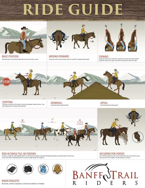 Horse Riding School Ideas, Learning To Ride A Horse, How To Ride A Horse Western, Western Trail Riding, Horseback Camping, How To Ride A Horse, Pony Riding, Horse English, Trail Riding Horses