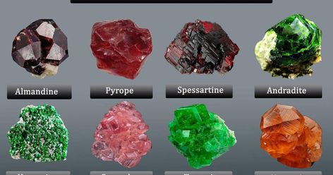 Garnet is not a single mineral, but describes a group of several closely related minerals. Pyrope, Almandine, Spessartite, Uvarovite, Grossular, and Andradite. All species of garnets possess similar physical properties and crystal forms, but differ in chemical composition. Earth Crystals, Pyrope Garnet, Shingle Colors, Almandine Garnet, Silicate Minerals, Rock Types, Spessartite Garnet, Garnet Crystal, Fine Minerals