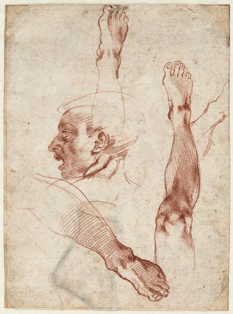 For the first time, a cache of 25 rare Michelangelo drawings, nearly all of them double-sided, from the collection of Queen Christina of Sweden, is headed to the US. Michelangelo Sculpture, Michelangelo Art, Tattoo Samples, Paul Rubens, Master Drawing, Cleveland Museum Of Art, Sistine Chapel, Figure Sketching, Figure Study