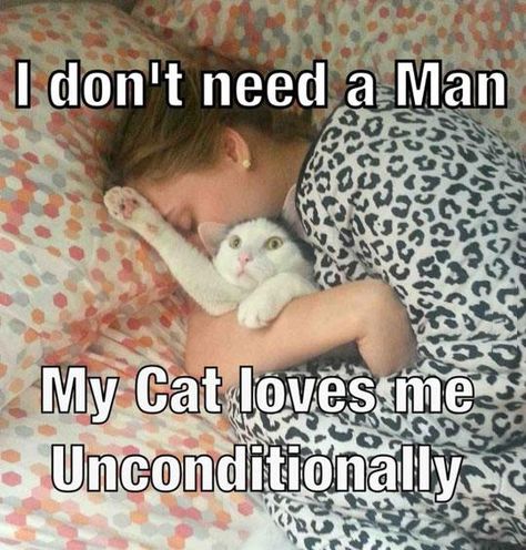 Talking Cats, Cat Humor, Cat Quotes, Funny Cat Memes, Cat Person, My Cat, Crazy Cat Lady, Crazy Cats, Cat Lady