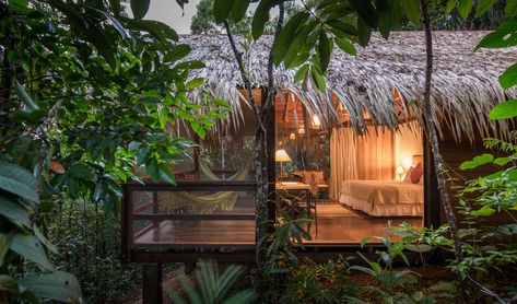 Ultimate Brazil: Amazon, Rio & Bahia Jungle Lodge, Jungle House, Cottages And Bungalows, Eco Lodge, Bamboo House, All Inclusive Vacations, Tropical House, In The Jungle, Eco House