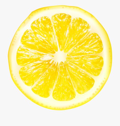 Clipart Aesthetic, Lemon Images, Lemon Pictures, Lemon Clipart, Lemonade Party, Clip Art Pictures, Lemon Decor, Fruit Slice, Lemon Slice