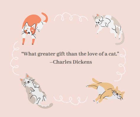 Cat Lover Quote, Cat Love Quotes, Curiosity Killed The Cat, Cat Loss, Southern Sayings, Cat Quotes Funny, Owning A Cat, Best Cat, Cat Quotes