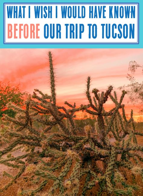 Arizona Travel Places to Visit Tuscon Arizona Hikes, What To Do In Tucson Arizona, Tuscan Arizona Things To Do, Southern Arizona Travel, Tusan Arizona, Tuscon Arizona Outfits, Things To Do In Tucson Az, Tuscon Arizona Aesthetic, Tucson Arizona Things To Do