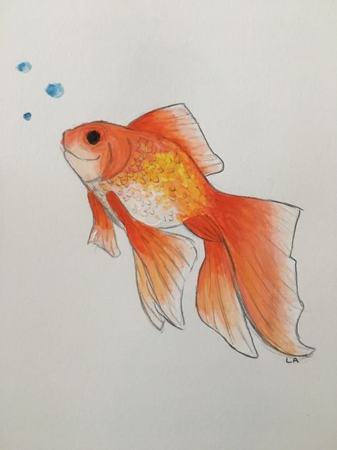 How To Draw Goldfish, Gold Fish Drawing Easy, Orange Fish Drawing, Big Fish Drawing, Gold Fish Drawing, Goldfish Drawing, Aquarium Drawing, Goldfish Watercolor, Tortoise Drawing