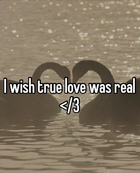 I want a boyfriend so bad 😫😭 I Have 50 Billion Boyfriends, If I Had A Boyfriend, I Want A Bf So Bad, I Want Him To Want Me, I Wish I Had A Boyfriend, I Just Want A Boyfriend, Relatable Post Funny So True, Whisper Confessions Relationships, I Want Him So Bad