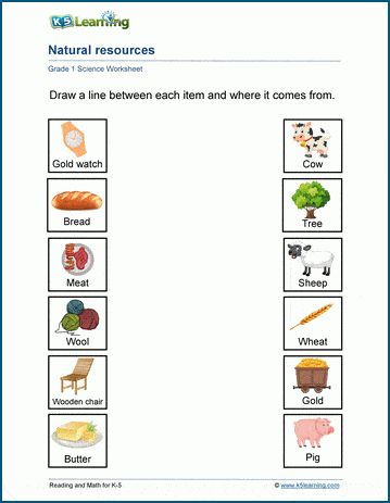 Natural resources worksheets | K5 Learning Grade 4 Natural Science Worksheets, Natural Resources Worksheet, Natural Resources Activities, Homeschooling First Grade, Earth Activities, Science Quiz, Cvc Worksheets, Good Study Habits, Second Grade Science