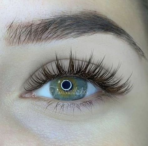 Natural Fake Eyelashes, Evening Eye Makeup, Lashes Fake Eyelashes, Eyelash Extensions Styles, Lash Extensions Styles, Perfect Eyelashes, Pretty Lashes, Natural Eyelash Extensions, Eyelash Extentions