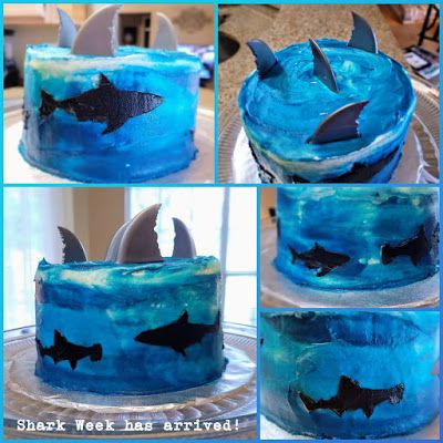 Gluten Free Oreo Cake, Shark Cake Ideas, Shark Cakes, Ocean Birthday Cakes, Shark Cake Topper, Ocean Cake, Shark Birthday Cakes, Ocean Cakes, Blue Frosting