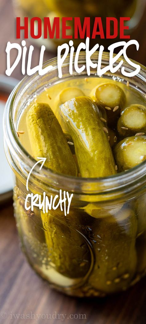 Canned Pickles Recipe, Canned Dill Pickles, How To Pickle Cucumbers, Pickle Cucumbers, Canning Pickles Recipe, Homemade Dill Pickles, Dill Pickles Recipe, Garden Cucumbers, Homemade Tortilla Recipe