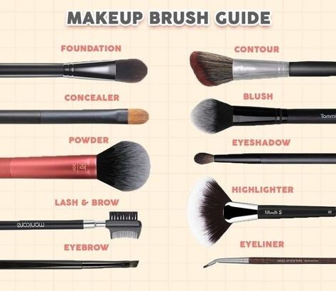 Alat Make Up Pemula, Urutan Make Up, Makeup Brush Guide, Makeup Brush Uses, Membentuk Alis, Brush Guide, Alat Makeup, Makeup Order, Makeup Brushes Guide