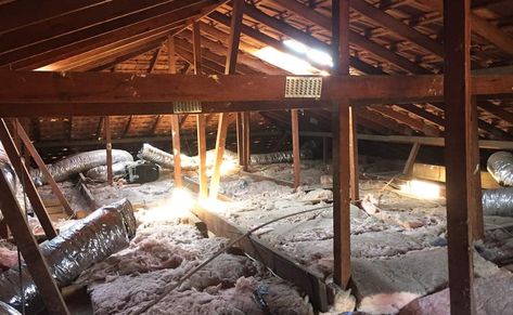 A1 Attics | Perth's Specialists in Attic Living Conversion Attic Conversion Before And After, Attic Before And After, Attic Conversion, Attic Space, Master Retreat, Roof Lines, Attic Storage, Design A Space, Building Code